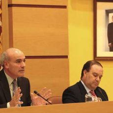 pleno-villa-vallecas