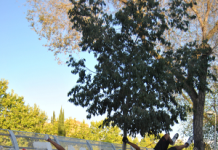 El Pozo, en forma con el ‘street workout’ El entrenamiento, en imágenes. Un detalle a destacar lo constituye el hecho de que este grupo de jóvenes deportistas cuentan también con una fotógrafa para registrar sus evoluciones. Se llama Valentina, y el grupo le envía este mensaje: “Gracias por apoyarnos y dedicarnos tiempo; eres una más de la familia”.