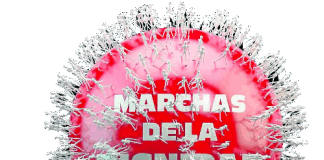 Marchas de la Dignidad 29N