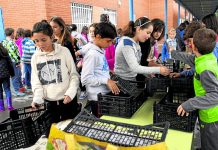 Taller Escuela Medioambiental en Palomeras Bajas El taller ha estado dirigido a alumnos de los centros de educación pública del barrio.