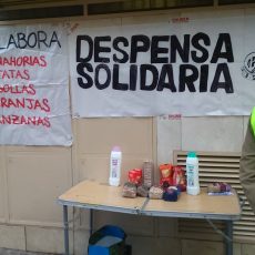 despensa-solidaria-1