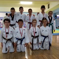 azofra-taekwondo-2