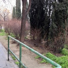 denuncia-tejar-pastora-1