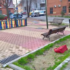 denuncia-tejar-pastora-2