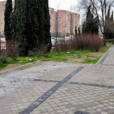 denuncia-tejar-pastora-3