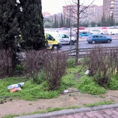 denuncia-tejar-pastora-4