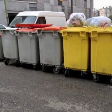 denuncia-tejar-pastora-6