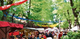 Fiestas de Entrevías