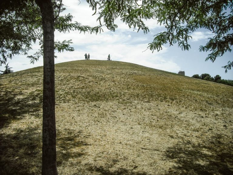 Parques «dejados»