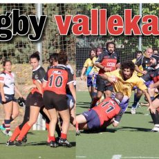 portada-noviembre2017