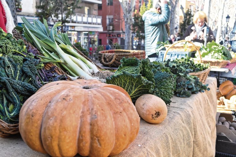 Vallecas agroalimenta: del productor al plato