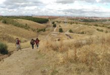 Subida al Cerro Almodóvar