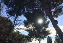 No salgas a andar sola, hazlo con tus vecinas EMMA 'Caminamos'