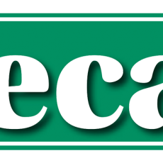 logo-vallecasva-9002x