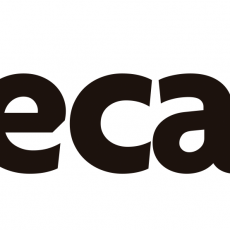 logotipo VallecasVA con fondo blanco