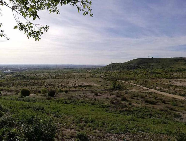 Ecologistas piden que se respeten los valores del Cerro Almodóvar