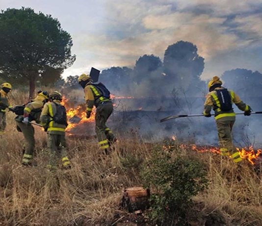Bomberos forestales, la precariedad tiene un límite