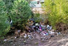 El barrio de Entrevías vuelve a convivir con las ratas