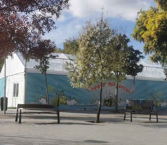 Salud en navidad: cuidarnos para disfrutar