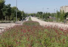 Concluye la remodelación de una zona verde del Ensanche