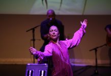 El festival Suma Flamenca regresa al Paco Rabal y al Pilar Miró